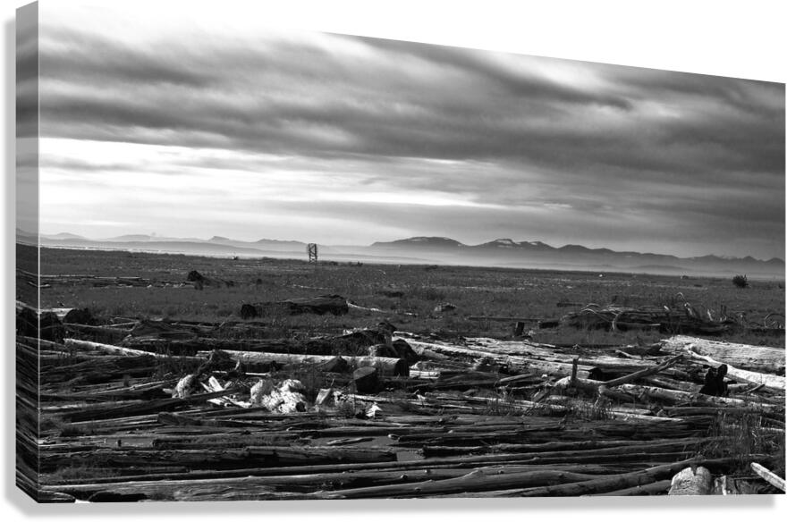 Radar Reflector Canvas Print