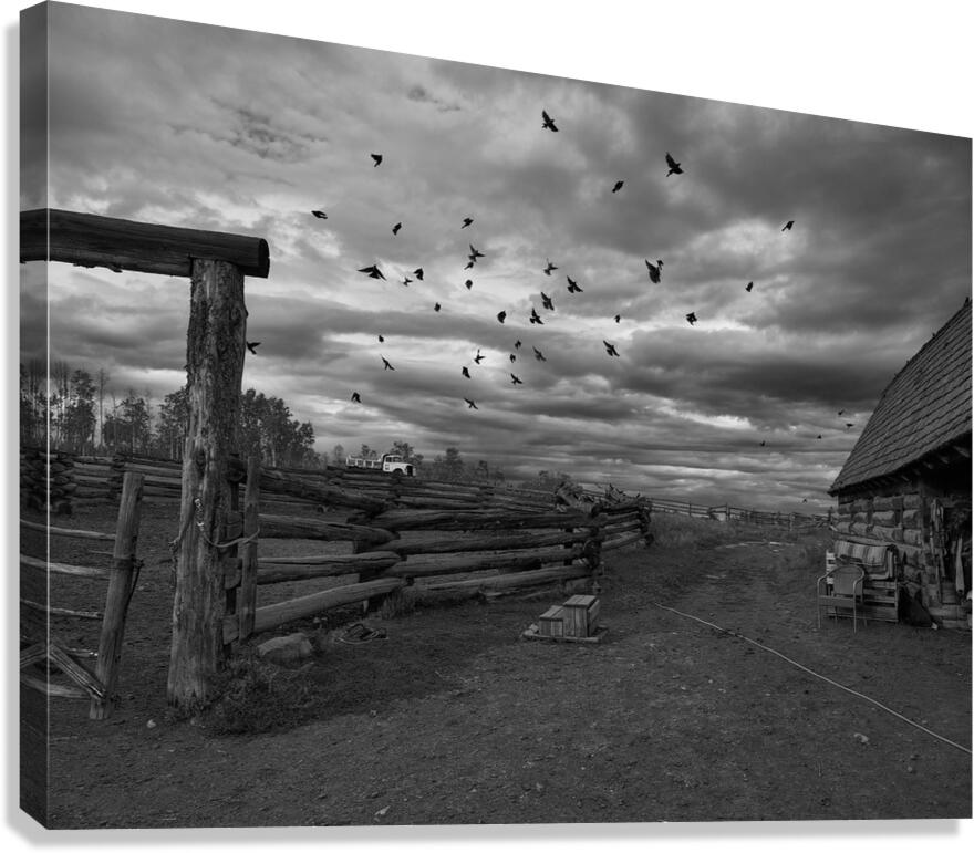 Taking off Canvas Print