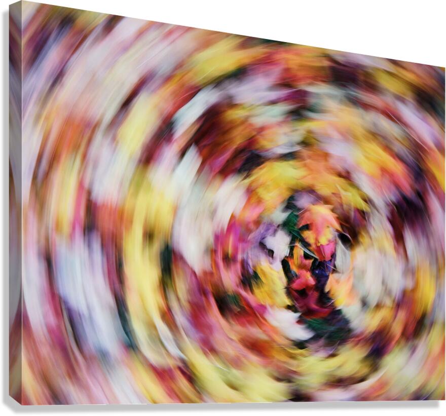Fall Colours Canvas Print