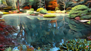 A Gibbs Pond