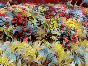Entrance Colors