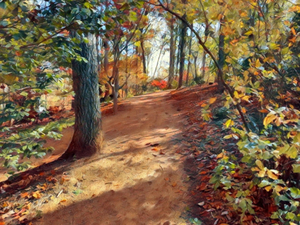 Path To Manor House