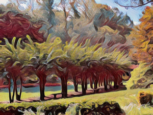Tree Road At Gibbs