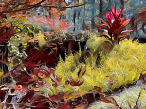 Red Plant In The Grass