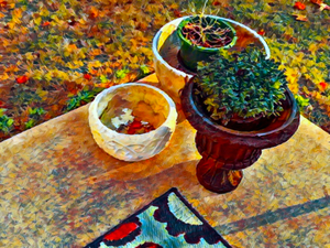 Patio Pots