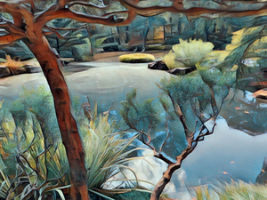 Shore OF A Pond