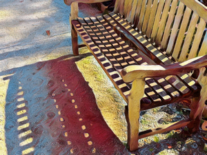 Bench In The Garden