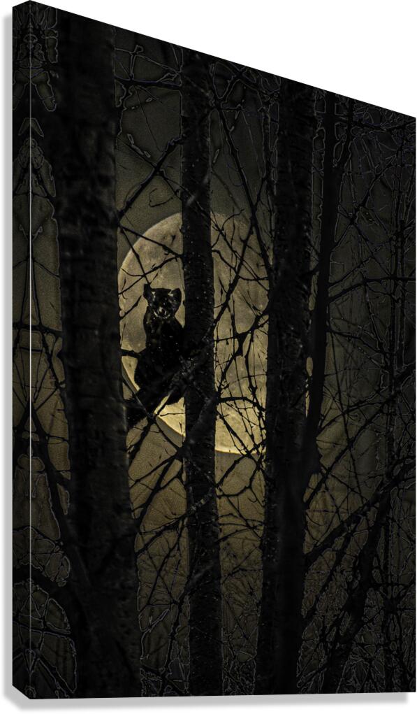 Pine Marten-101 Canvas Print