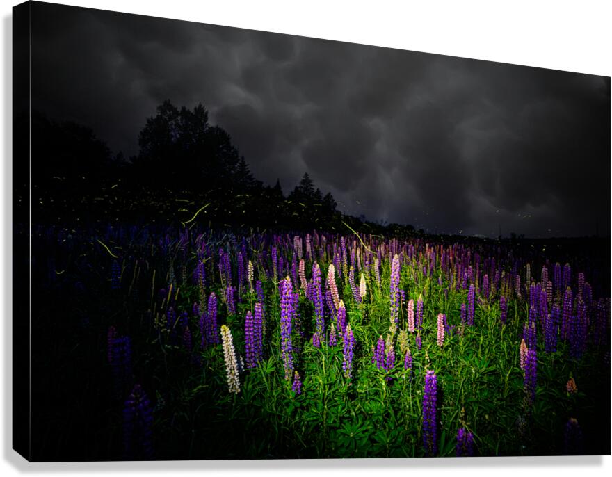 ZJS 7780  Canvas Print
