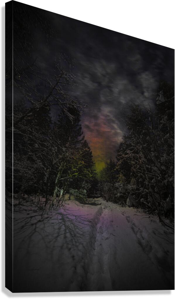 ZJS 6936  Canvas Print