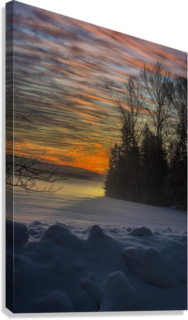JBS 4142  Canvas Print