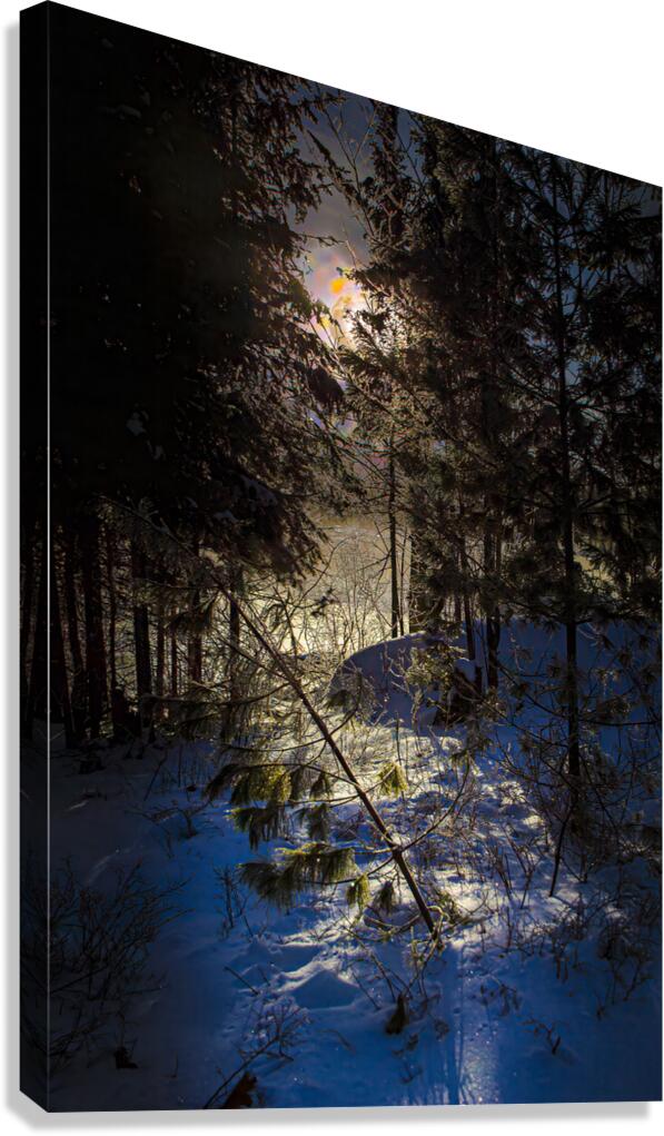 JBS 8757  Canvas Print