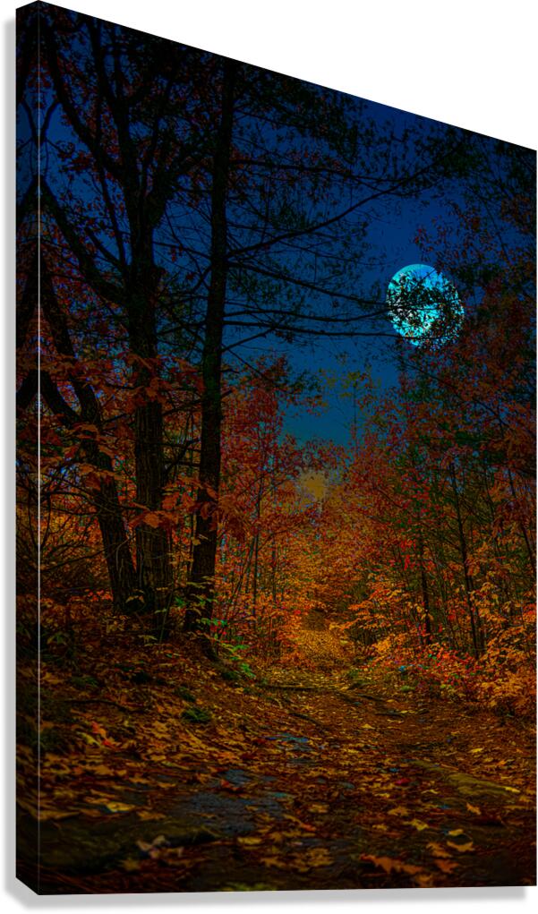 JBS 6767  Canvas Print