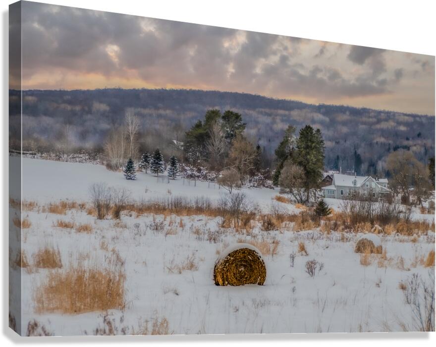 ZJS 9136  Canvas Print