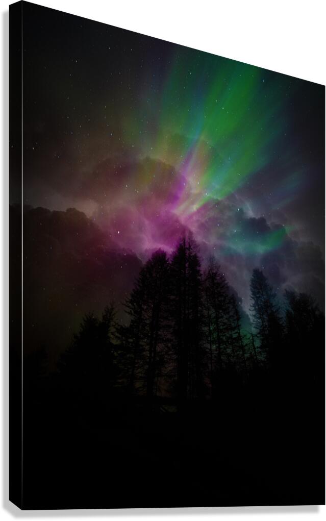 JBS 9713  Canvas Print