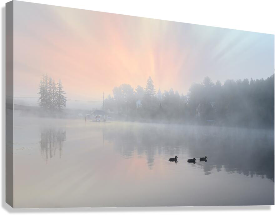 ZJS 8325  Canvas Print