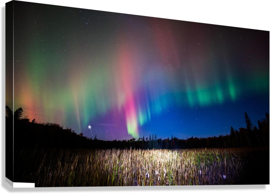 ZJS 8404  Canvas Print