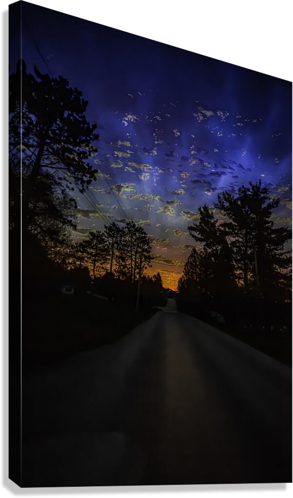 untitled 1 Canvas Print