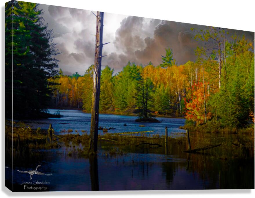  JBS4221  Canvas Print