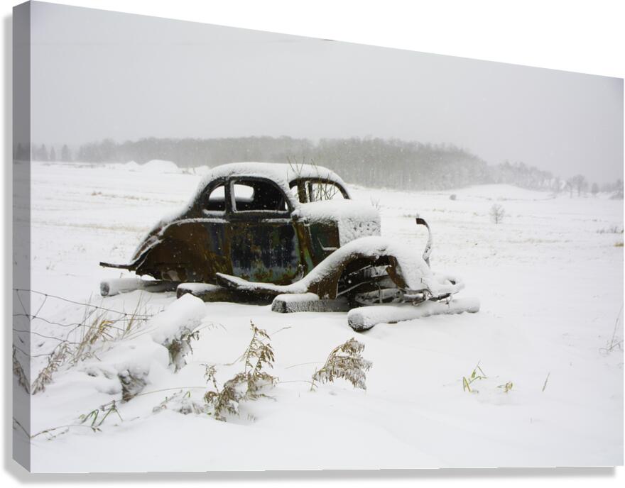 JBS 5025 Canvas Print