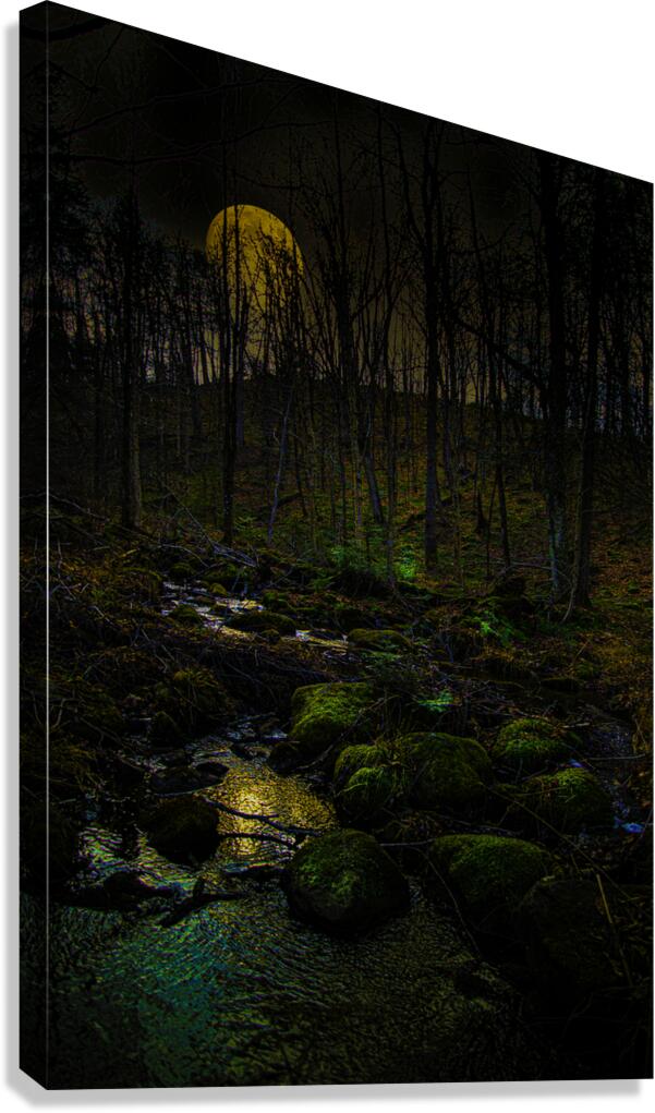 JBS 9682  Canvas Print