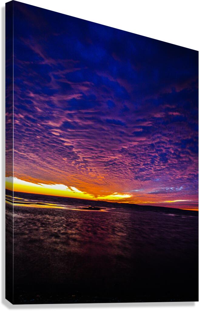 JBS 3785 Canvas Print