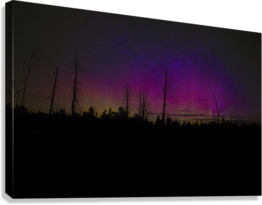 JBS 1467 Canvas Print