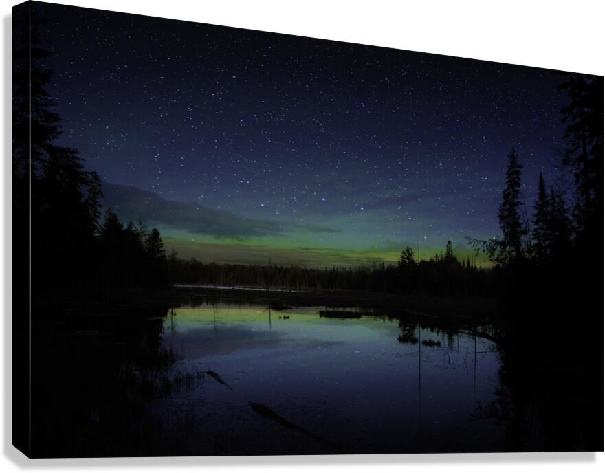 JBS 4801 Canvas Print