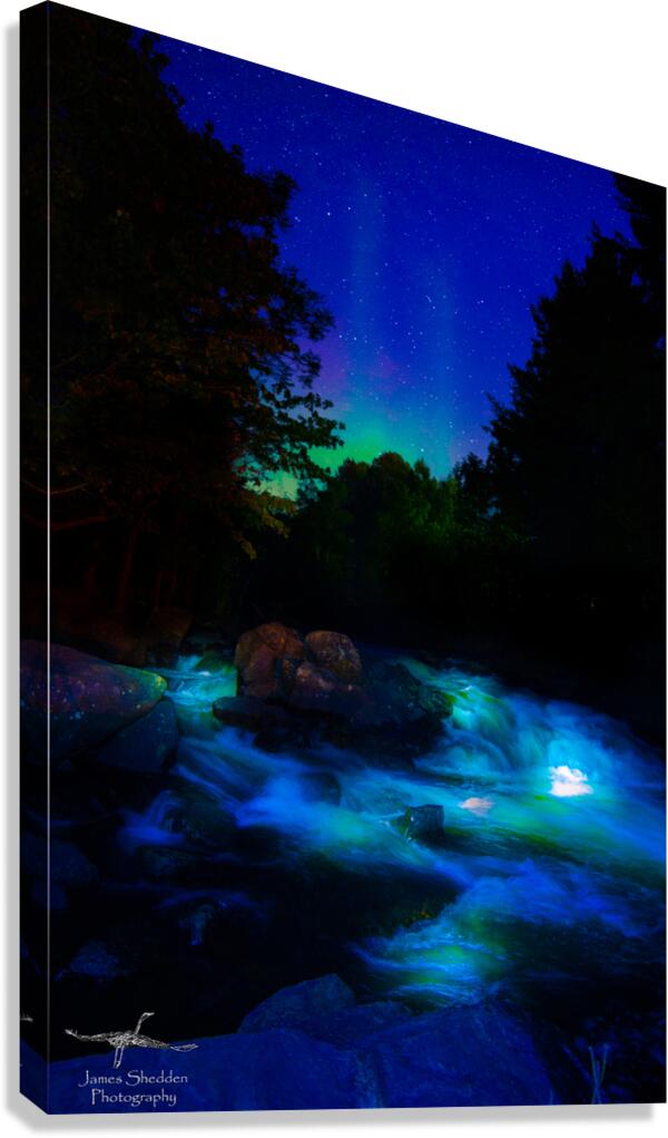 JBS 1574  Canvas Print