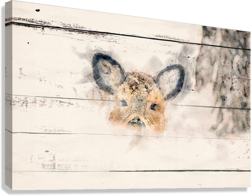 Abstract Deer Canvas Print