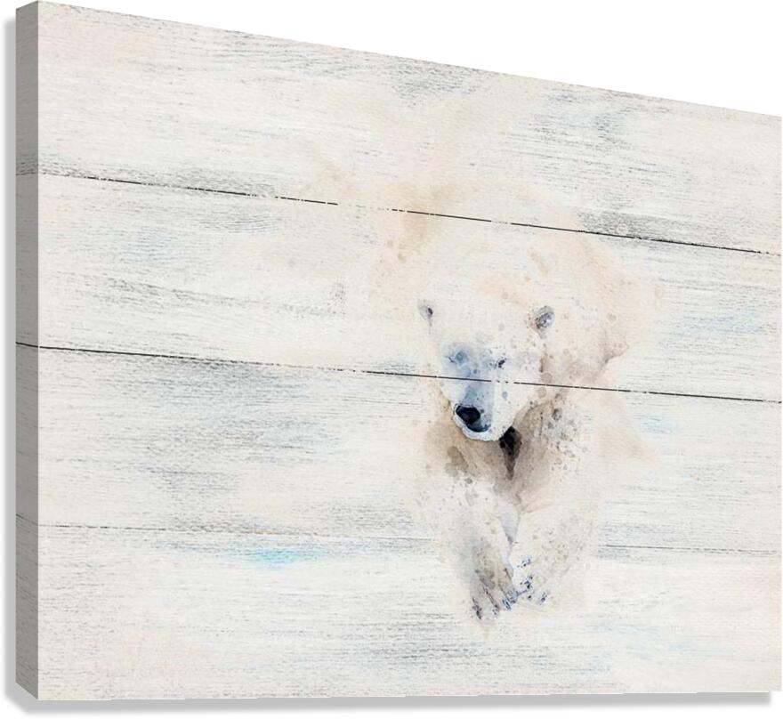 bearonbrd Canvas Print
