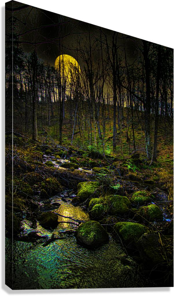 JBS 9682  Canvas Print