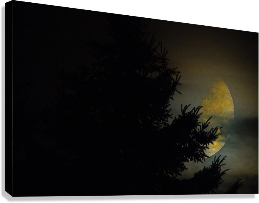 JBS 9933  Canvas Print