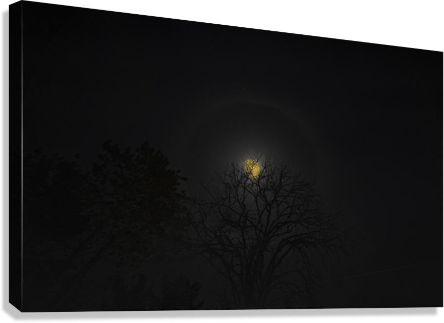 JBS 6094 Canvas Print