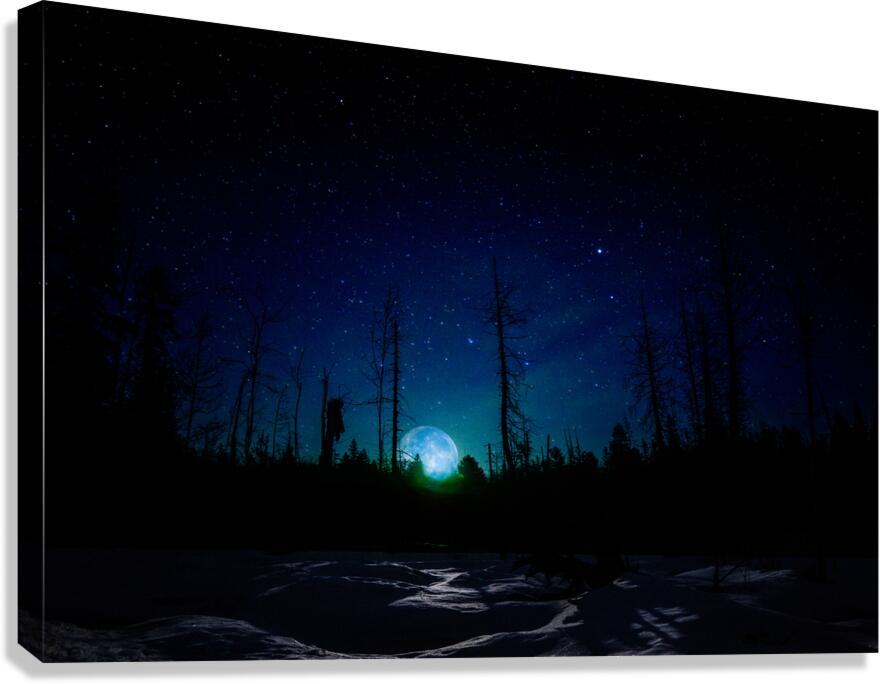 JBS 61401  Canvas Print