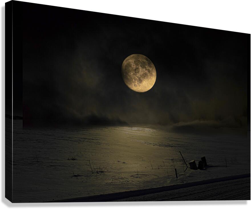 JBS 4030  Canvas Print