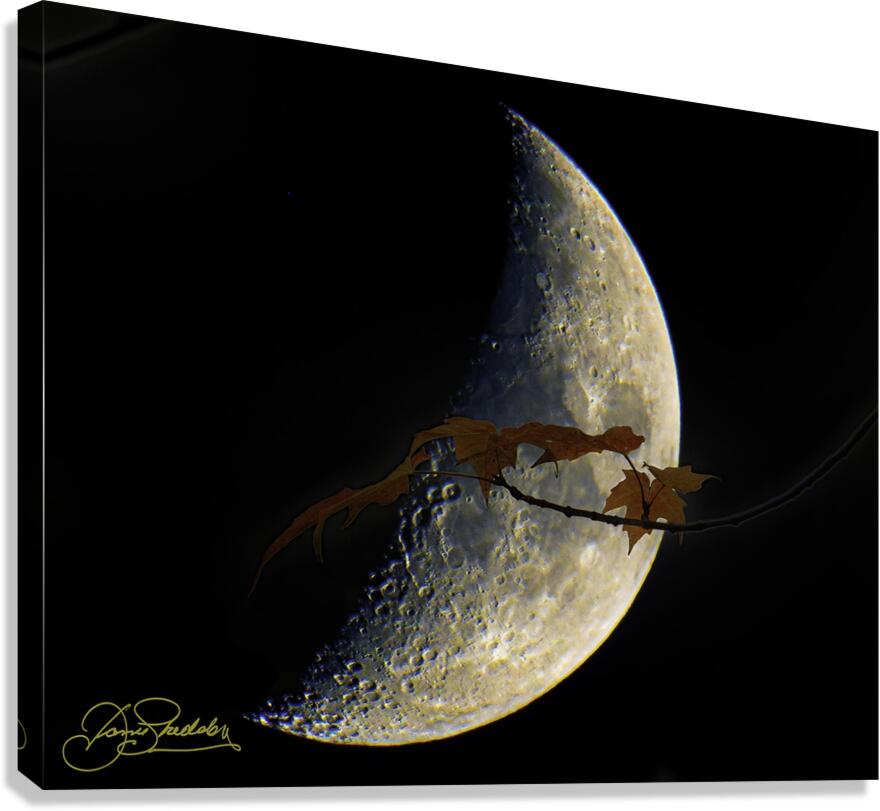 JBS 3686  Canvas Print