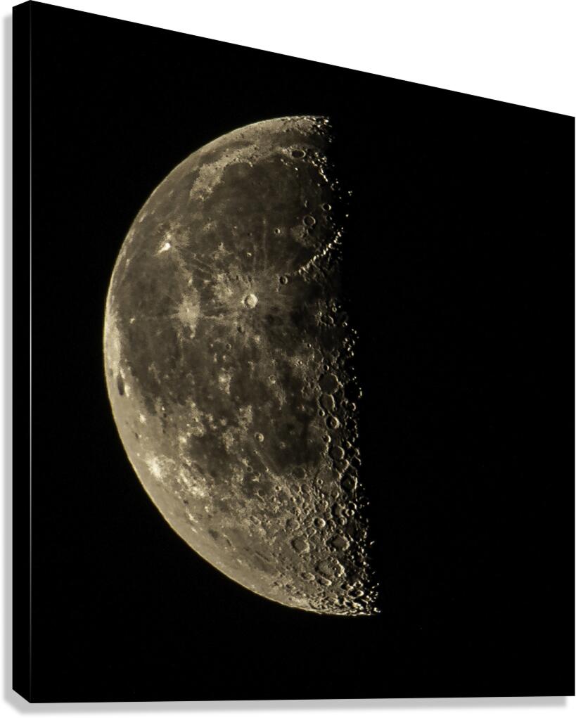 JBS 8184 Canvas Print