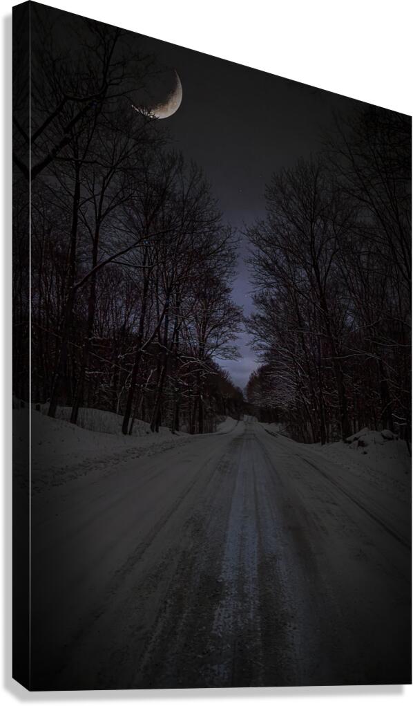 ZJS 6317  Canvas Print