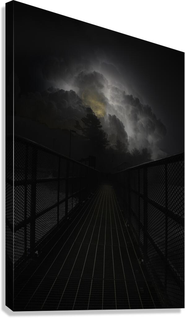 JBS 3041 Canvas Print