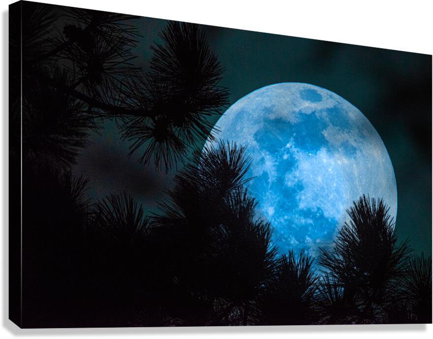 JBS 0093  Canvas Print