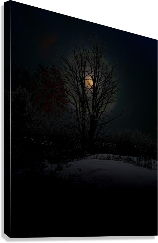 JBS 8045 Canvas Print