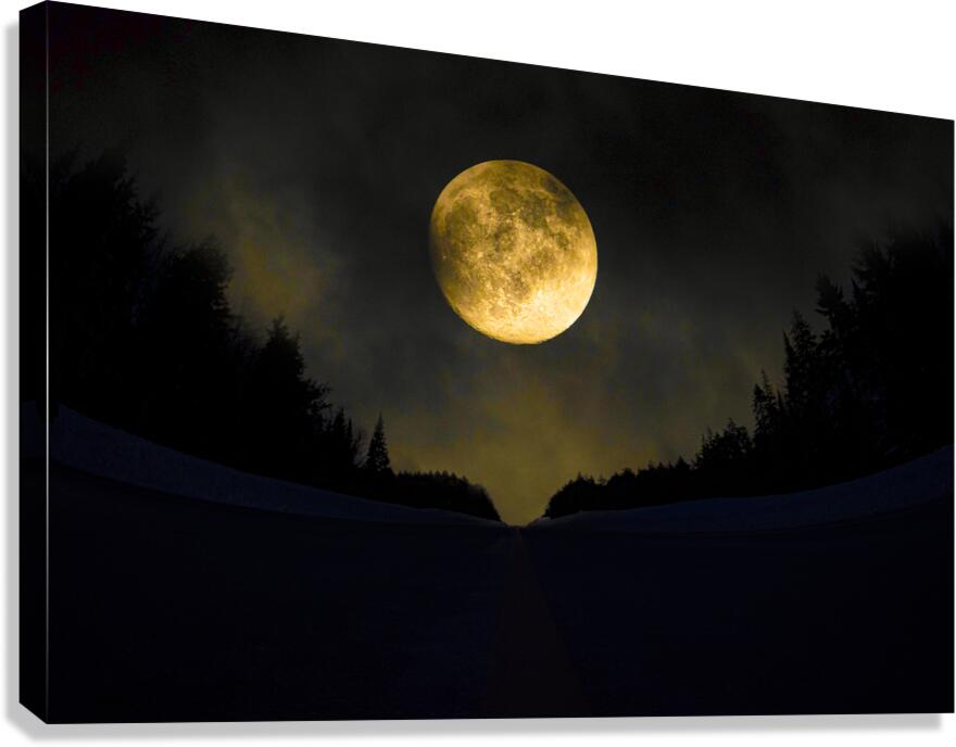 JBS 4093  Canvas Print