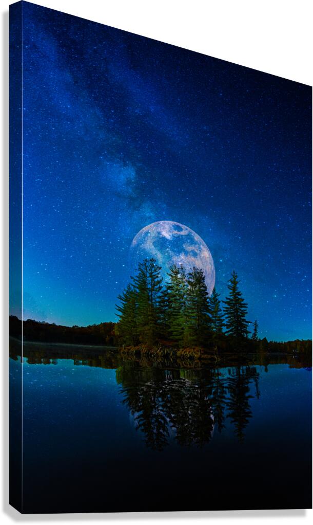 JBS 4810  Canvas Print