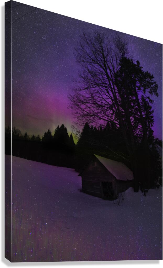 JBS 5676 Canvas Print