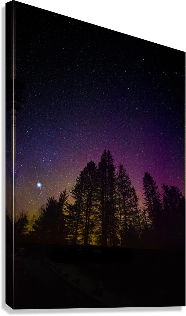 JBS 9713 Canvas Print