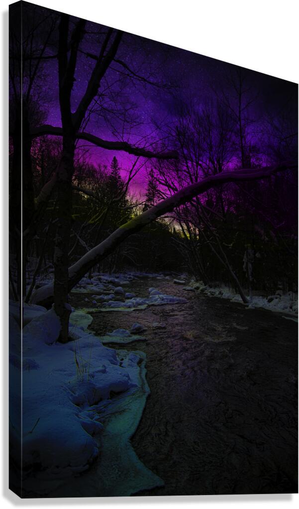 JBS 9933  Canvas Print