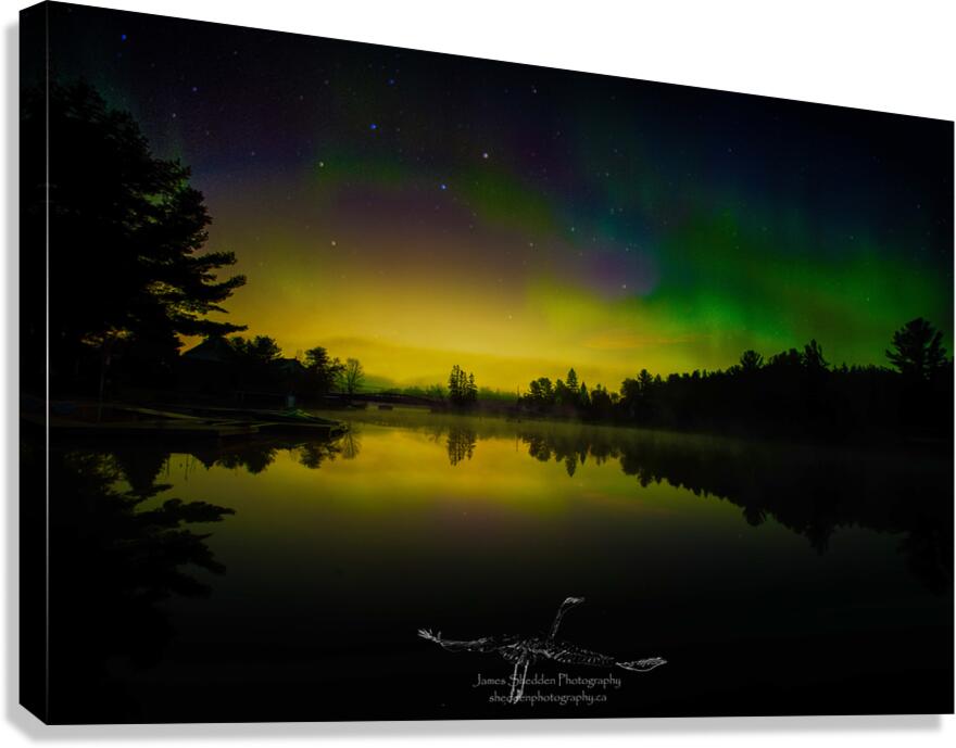 JBS 6983  Canvas Print