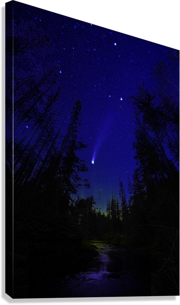 comet  Canvas Print