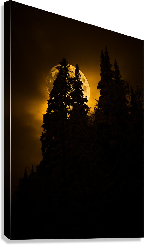 CRC 0731 Canvas Print